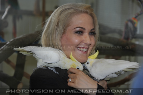 Er�ffnung des Papageienhauses 018