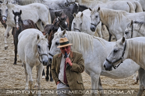 Die Pr�sentationen 68: Max Dobretsberger