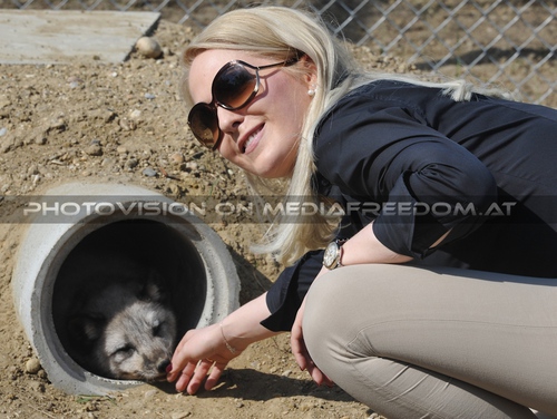 Er�ffnung der Fuchsanlage 023