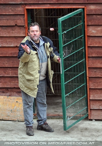 Schneeleoparden 10 F�tterung