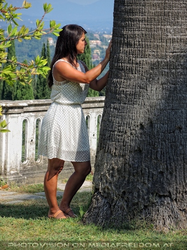Der kaiserliche Geburtstag 43