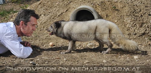 Er�ffnung der Fuchsanlage 009: Rupert Everett,Fuchs