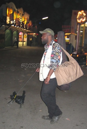 Man with dog vehicle