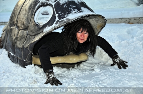 Schildkr�te Eva 3