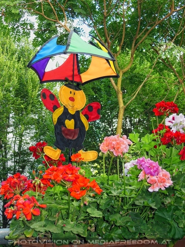 Birdland Terrasse 07