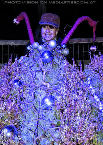 Himmlische Weihnachtszeit 25: Eva D.