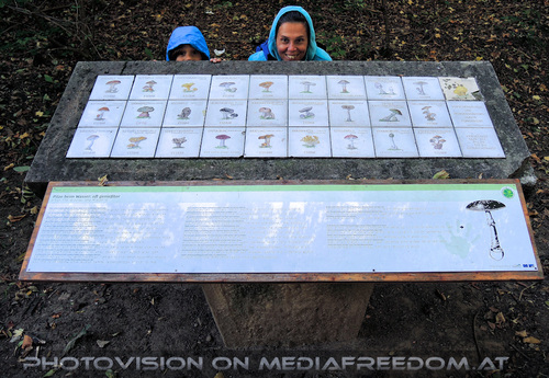 Abenteuer Spaziergang 17