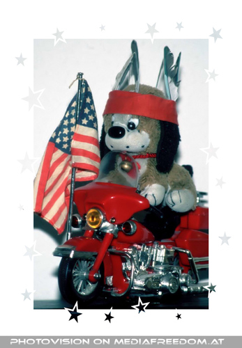 Pauli als Grossstadtindianer