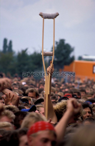 Every Rose Has Its Thorn