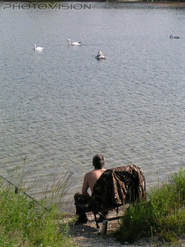 Ob die wohl anbei�en?