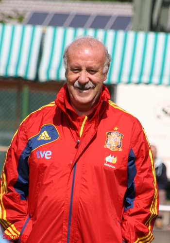 Vicente Del Bosque Gonz�lez