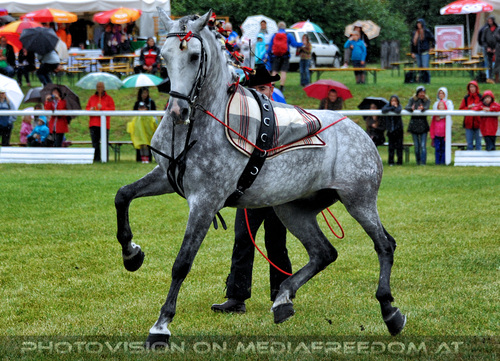Spanische Lektionen 05