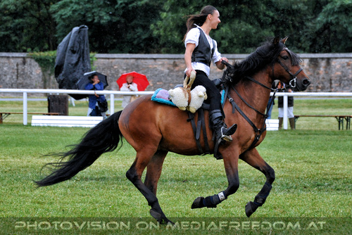 Cascadeurs d'Autriche 01