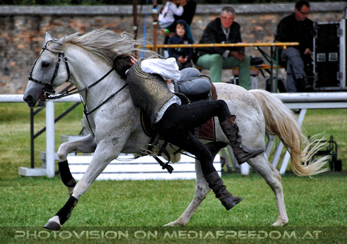 Cascadeurs dAutriche 06