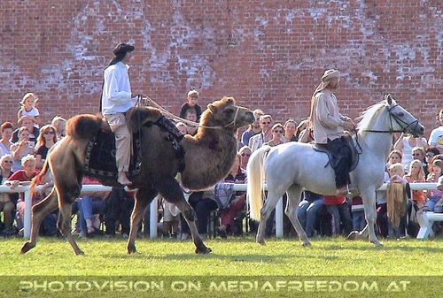 Kaiserliches Fest 07