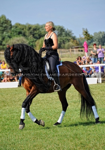 Die Pr�sentation 016