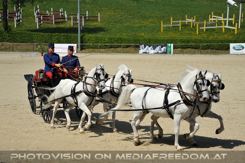 Die Lipizzaner Heimat 011