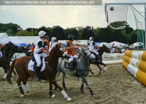 Horseball Goal again
