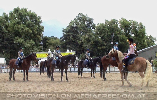 Hund, Katz und Co 17