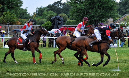 Poloclub 04