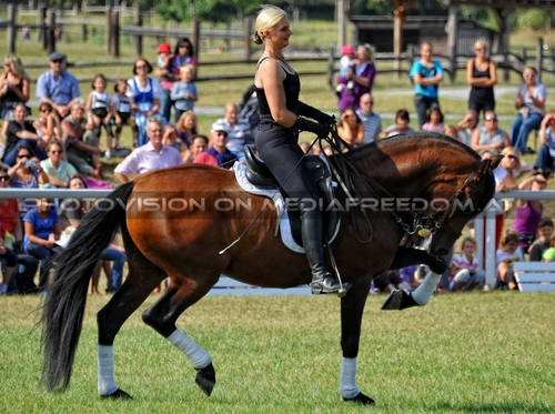 Die Pr�sentation 017