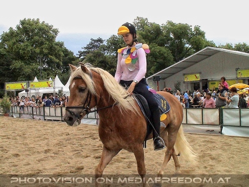 Hund, Katz und Co 18