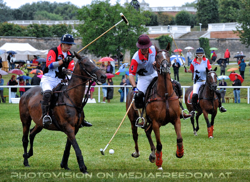 Poloclub 05