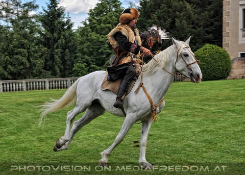 Greifvogel Vorf�hrung 44