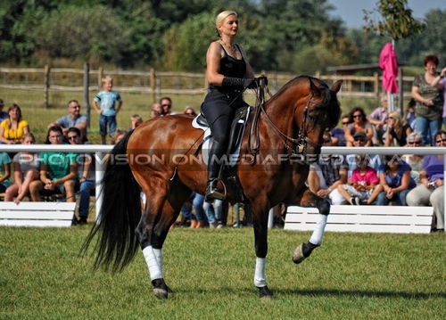 Die Pr�sentation 018