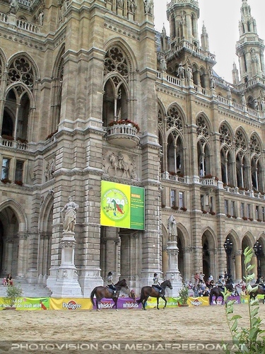 Hund, Katz und Co 21