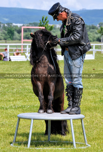 Police Show 10: Franz Josef Simon