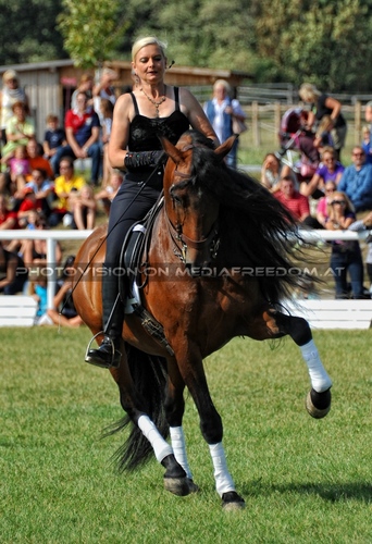 Die Pr�sentation 019