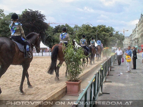 Hund, Katz und Co 16