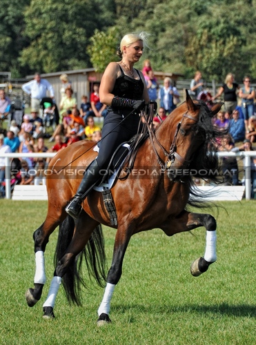 Die Pr�sentation 020