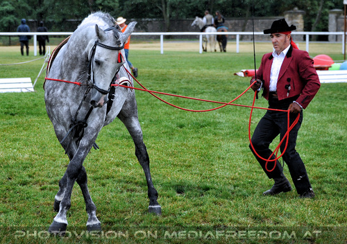 Spanische Lektionen 01