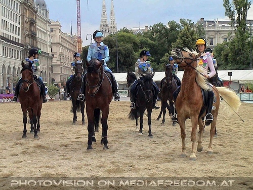 Hund, Katz und Co 19