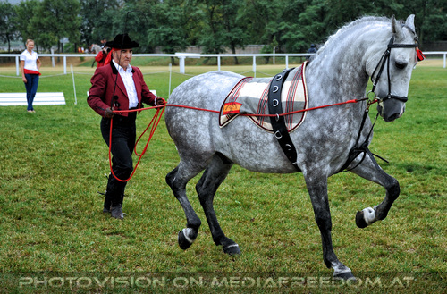 Spanische Lektionen 02