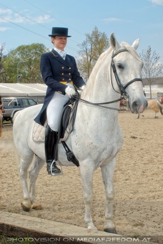 Das Showprogramm 47: Kirsa Steinb�ck