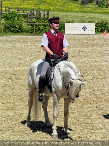 Die Lipizzaner Pr�sentation 06