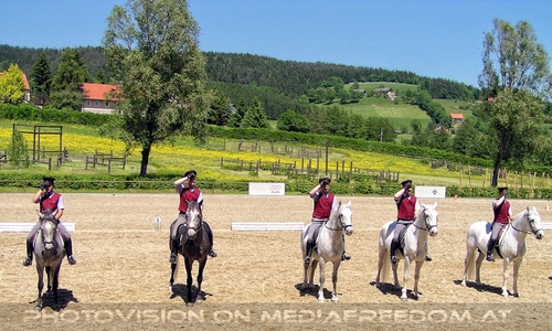 Die Lipizzaner Pr�sentation 07