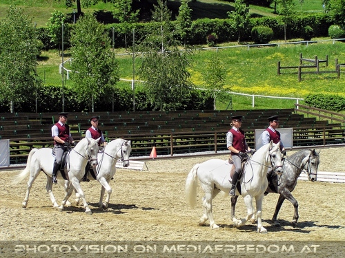 Die Lipizzaner Pr�sentation 08