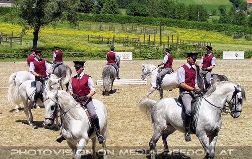 Die Lipizzaner Pr�sentation 09