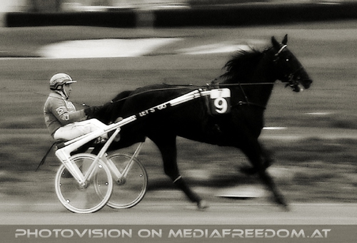 Letztes Traber Rennen