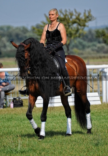 Die Pr�sentation 015