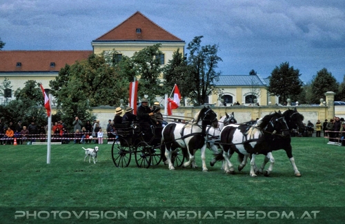 Pr�sentation 11: Max Dobretsberger