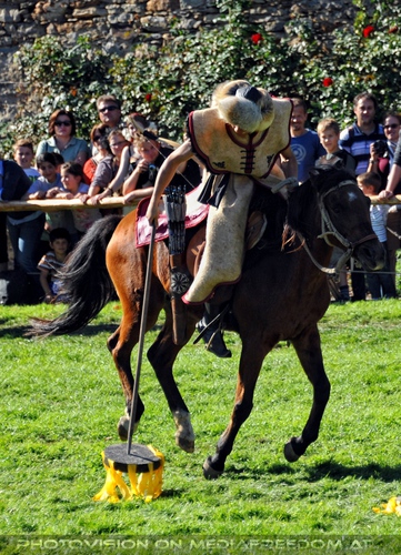 Die Bogensch�tzen 06