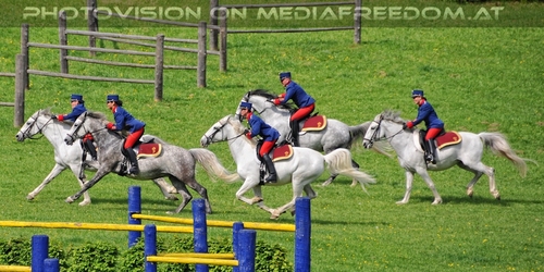 Die Pr�sentationen 53