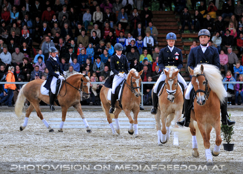 Reitquadrille Rainhof 2