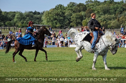 Die Pr�sentation 014