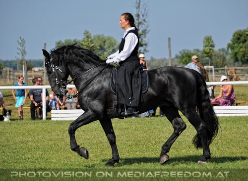 Die Pr�sentation 022